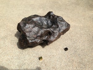 Campo_2_33.2lbs
