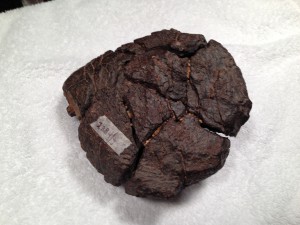 NWA XXX 2384 grams (5.25Lbs)