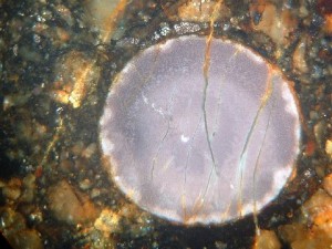 NWA5142 Chondrule Photo 2 (Courtesy Tom Phillips)