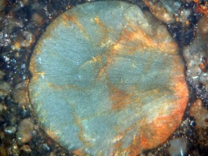 NWA5142 Chondrule Photo 4 (Courtesy Tom Phillips)