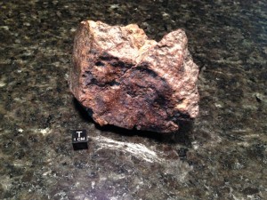 NWA XXX 445.5grams showing some nice desert varnish