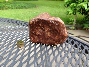 Wellman (c)  647.9 grams with Huss numbers H39.224.  Nice individual stone.  Olivine-bronzite chondrite.  Recognized as a fall in 1964.  Terry County, Texas
