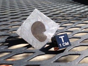 Fetus looking Triolite inclusion